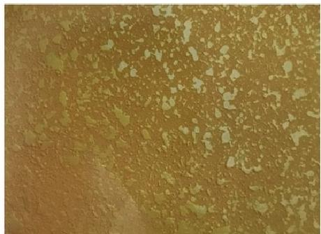 浮雕弹涂骨浆  XY-626